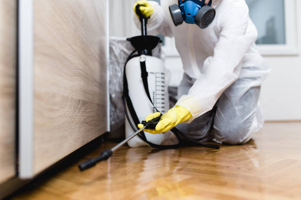 Best Termite Control Services  in Cayuga Heights, NY