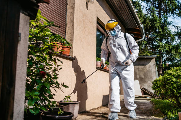 Best Termite Control Services  in Cayuga Heights, NY