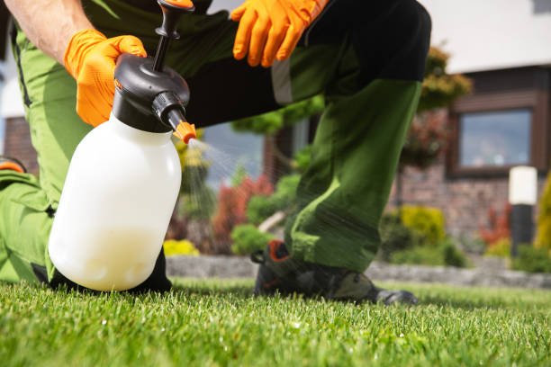 Best Wasp Removal Services  in Cayuga Heights, NY