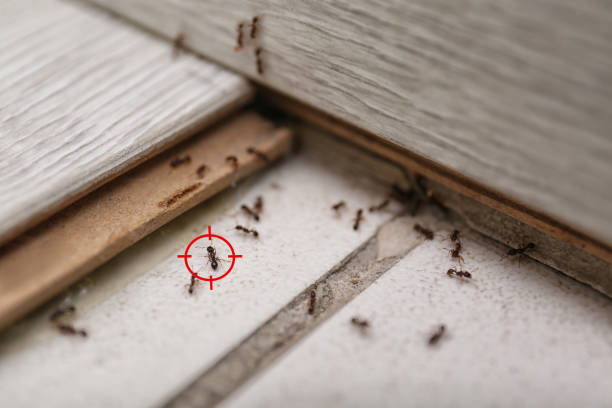 Best Best Pest Control Companies  in Cayuga Heights, NY