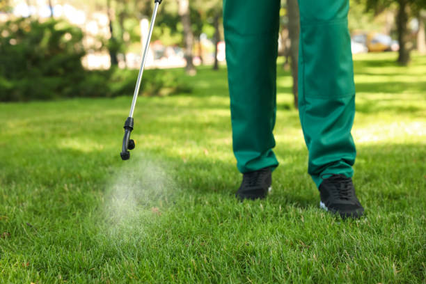 Best Flea Control Services  in Cayuga Heights, NY