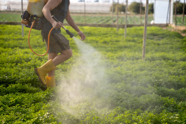 Best Wildlife Control Services  in Cayuga Heights, NY