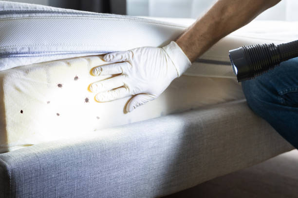 Best Pest Removal Services  in Cayuga Heights, NY