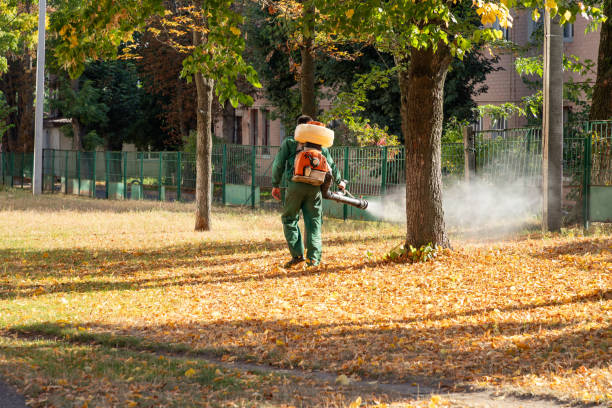 Reliable Cayuga Heights, NY Pest Control Solutions