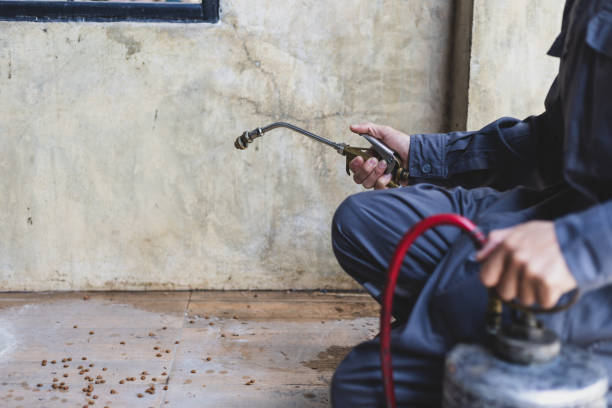 Best Best Pest Control Companies  in Cayuga Heights, NY